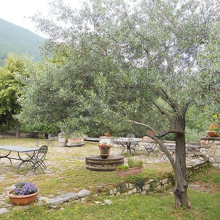 Vila Il Giardino Degli Ulivi Castelraimondo Exteriér fotografie
