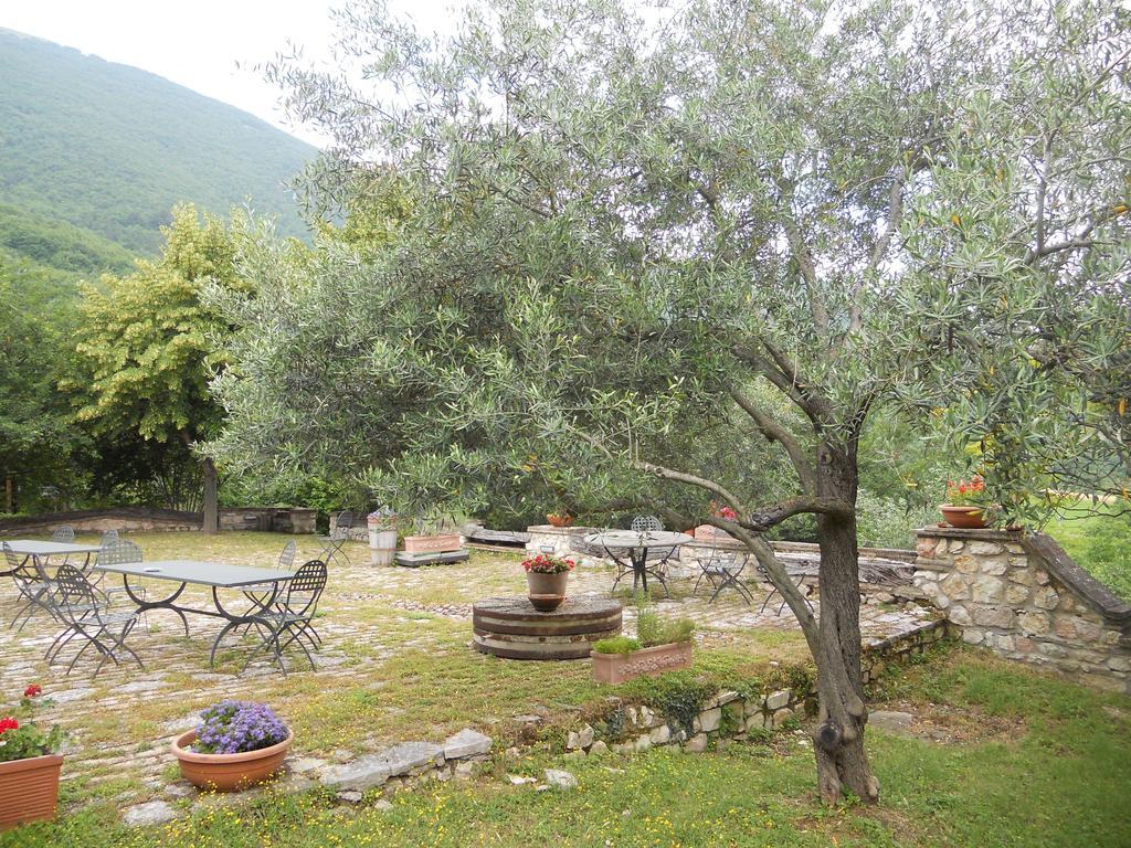 Vila Il Giardino Degli Ulivi Castelraimondo Exteriér fotografie